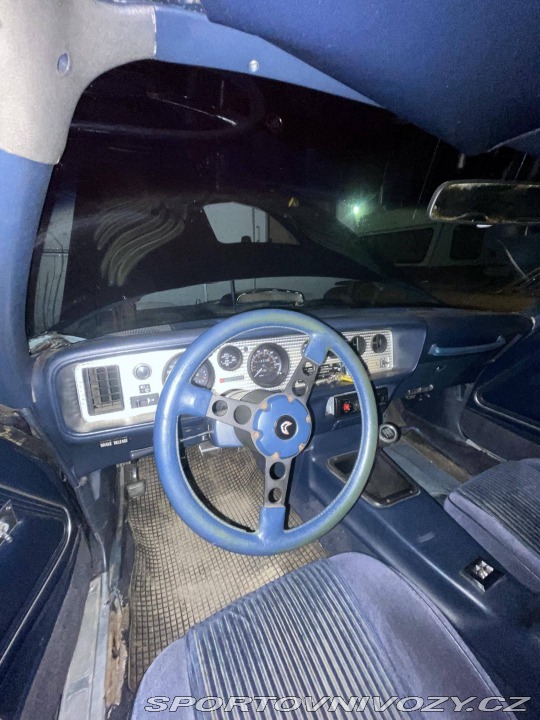 Pontiac Firebird 5.0 V8 1981