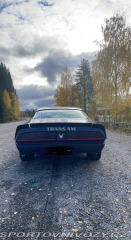 Pontiac Firebird 5.0 V8 1981