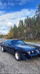 Pontiac Firebird 5.0 V8 1981