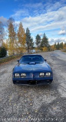 Pontiac Firebird 5.0 V8 1981