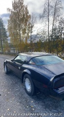 Pontiac Firebird 5.0 V8 1981
