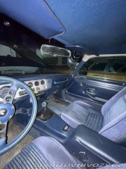 Pontiac Firebird 5.0 V8 1981