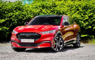 Ford Mustang Mach-E  273kw 2021