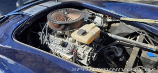 Ostatní značky Ostatní modely AC Cobra Roadster 1989