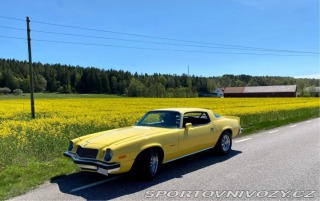 Chevrolet Camaro  1977