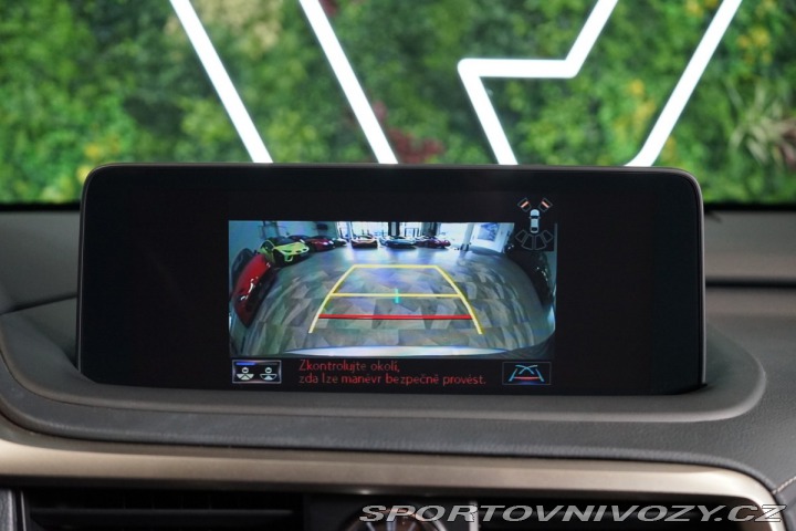 Lexus RC 4X4*CVT*LIMITED*DRCC 2023