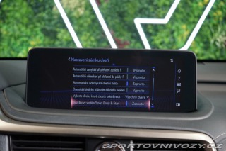 Lexus RC 4X4*CVT*LIMITED*DRCC 2023