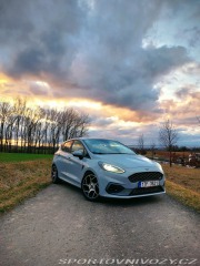 Ford Fiesta ST Performance