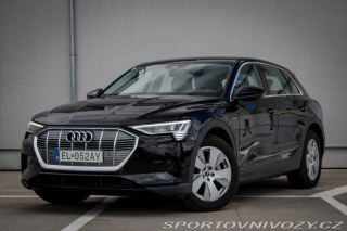 Audi  E-tron  55 quattro Basis