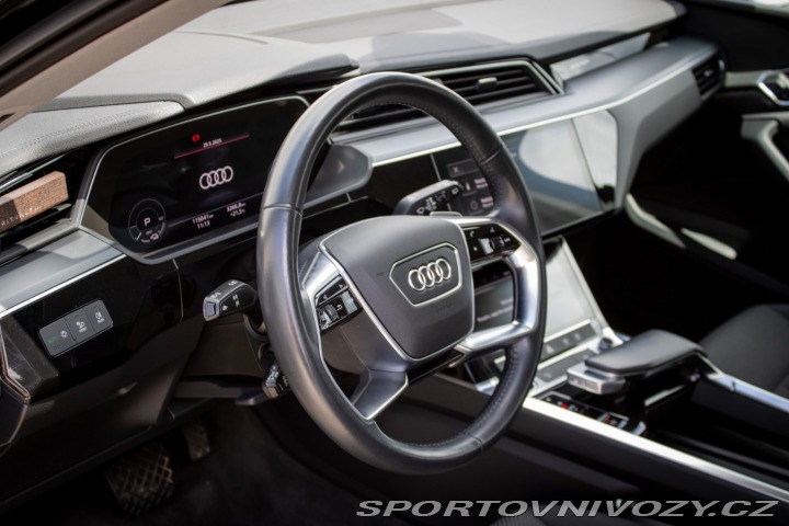 Audi Ostatní modely E-tron 55 quattro Basis 2021