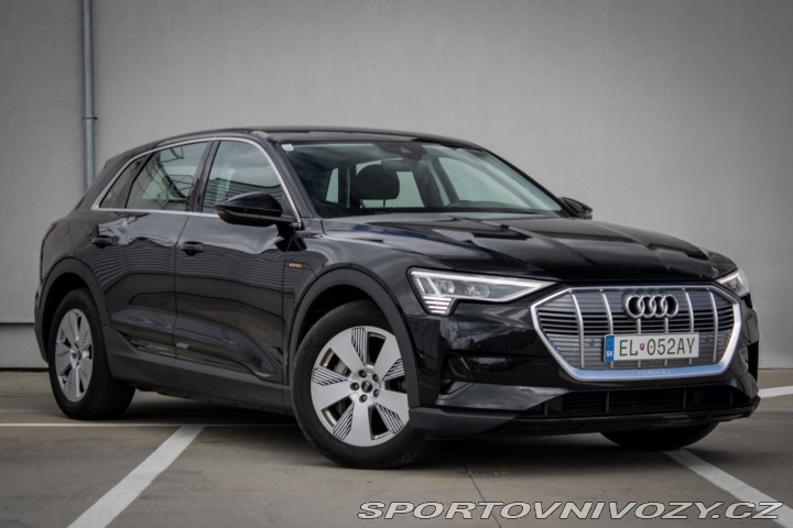 Audi Ostatní modely E-tron 55 quattro Basis 2021