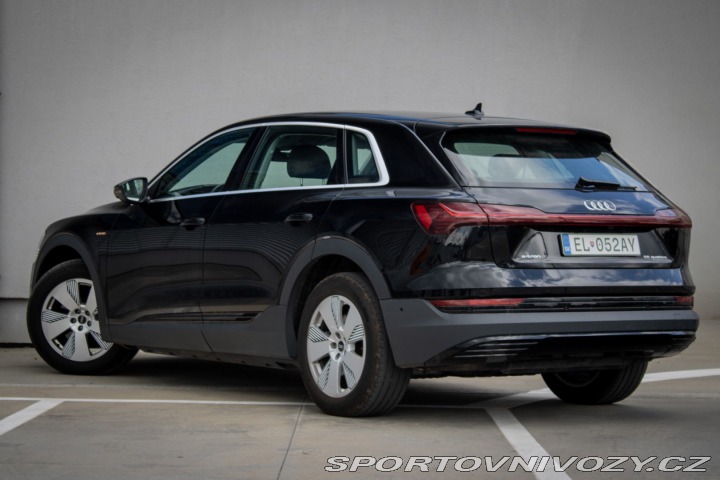 Audi Ostatní modely E-tron 55 quattro Basis 2021