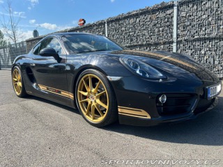 Porsche Cayman Cayman S 3.4 2013