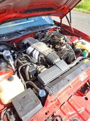 Pontiac Firebird Formula 1987