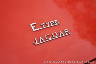 Jaguar E-Type  1966
