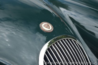 Jaguar XK XK120 1950