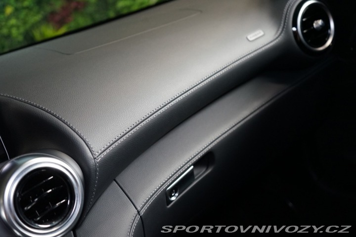 Mercedes-Benz AMG GT NAPPA*BURM*TRACK PACE 2019
