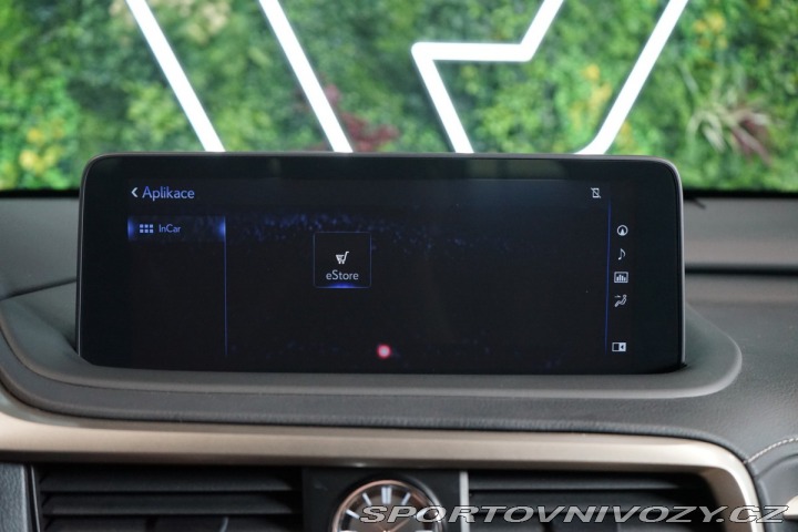 Lexus RC 4X4*CVT*LIMITED*DRCC 2023