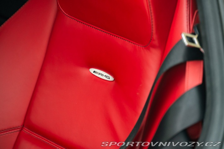 Mercedes-Benz SLS AMG 2010