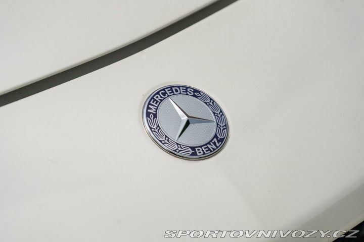 Mercedes-Benz SLS AMG 2010