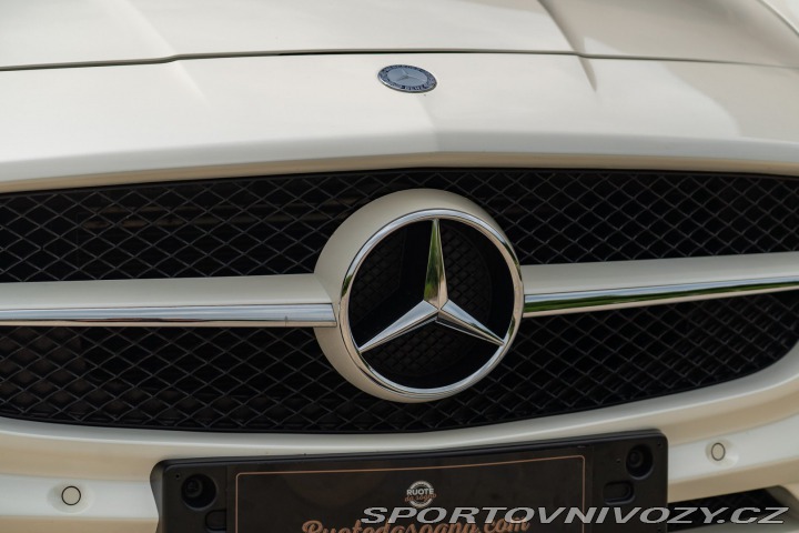 Mercedes-Benz SLS AMG 2010