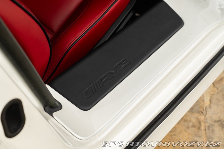 Mercedes-Benz SLS AMG 2010