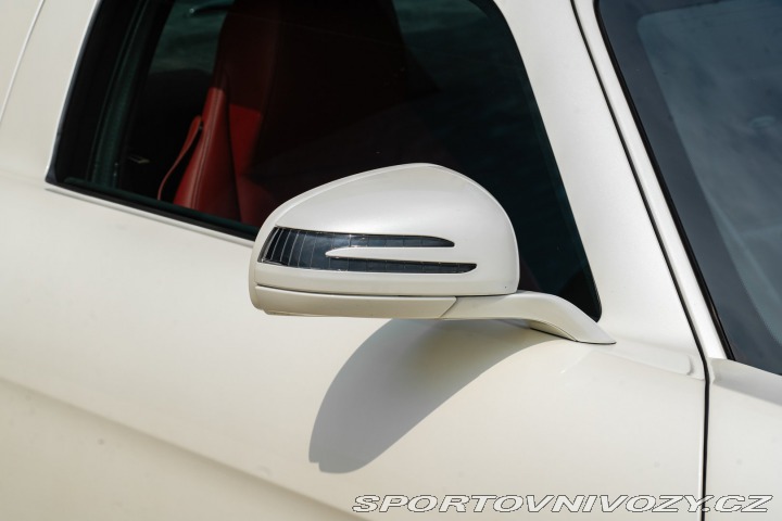 Mercedes-Benz SLS AMG 2010