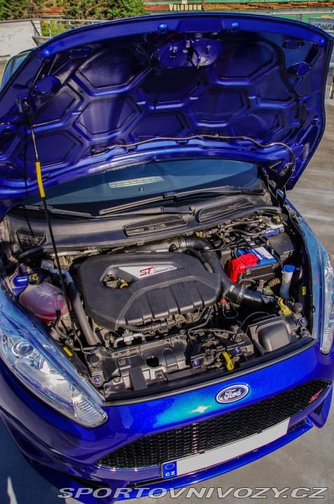 Ford Fiesta ST 2013