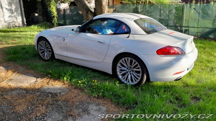 BMW Z4 Z4 sDrive35i 2010