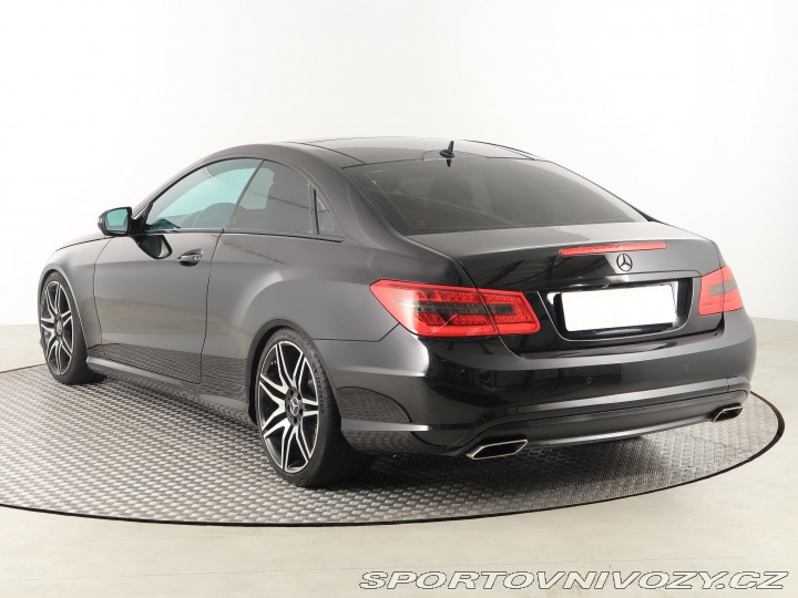 Mercedes-Benz E Classic E 500 2010
