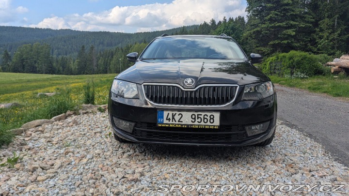 Škoda Ostatní modely Octavia 2,0 TDI 135 kW 4x4 DSG, 2016