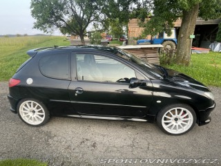 Peugeot 206 RC 2006