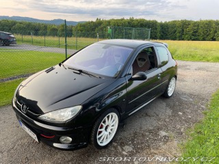 Peugeot 206 RC 2006