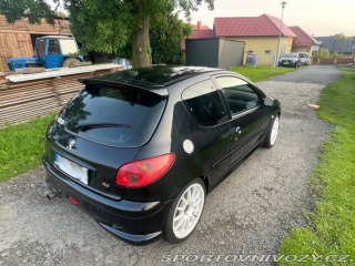 Peugeot 206 RC 2006