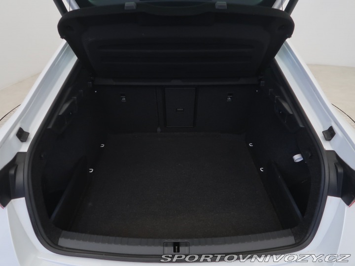 Škoda Octavia RS RS RS 2.0 TDI 4x4 2023