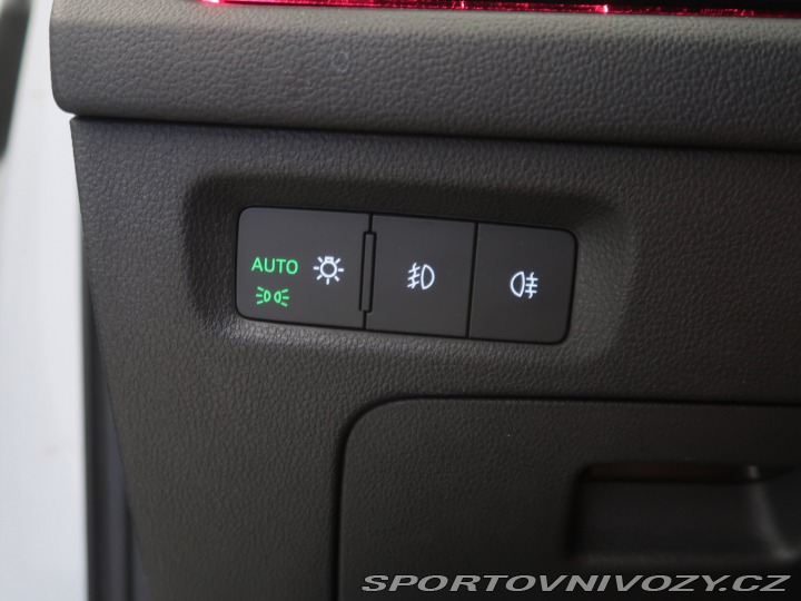 Škoda Octavia RS RS RS 2.0 TDI 4x4 2023