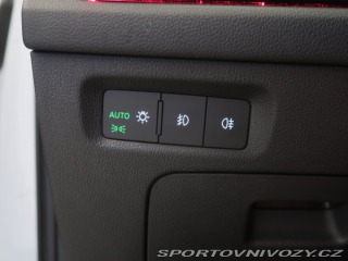 Škoda Octavia RS RS RS 2.0 TDI 4x4 2023