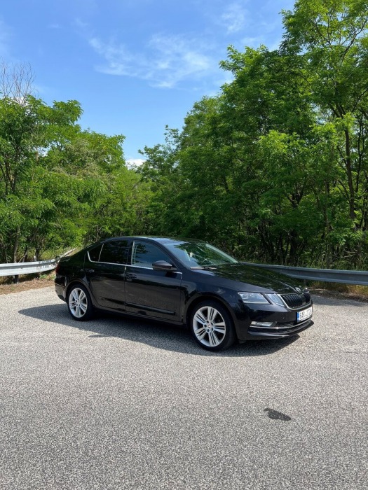 Škoda Ostatní modely Octavia 1,6   III, Style, led sve