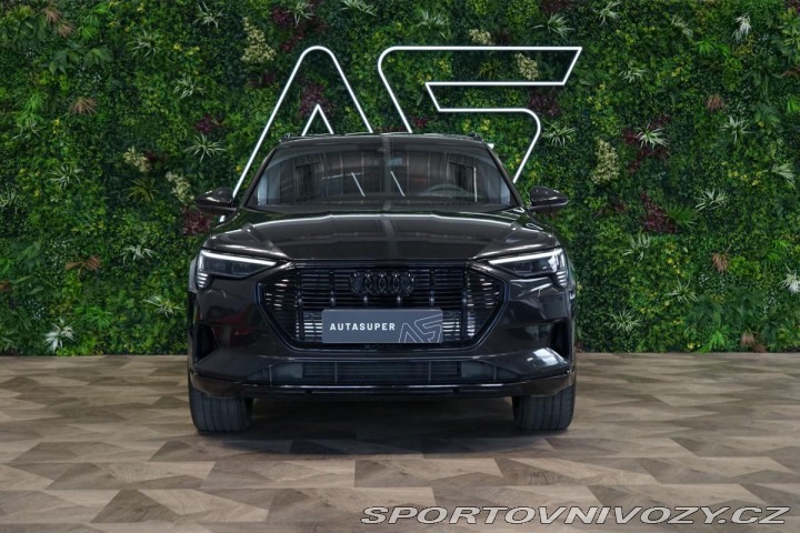 Audi Ostatní modely e-tron 55*QUATTRO*PANO*ZÁRUKA*MA 2020