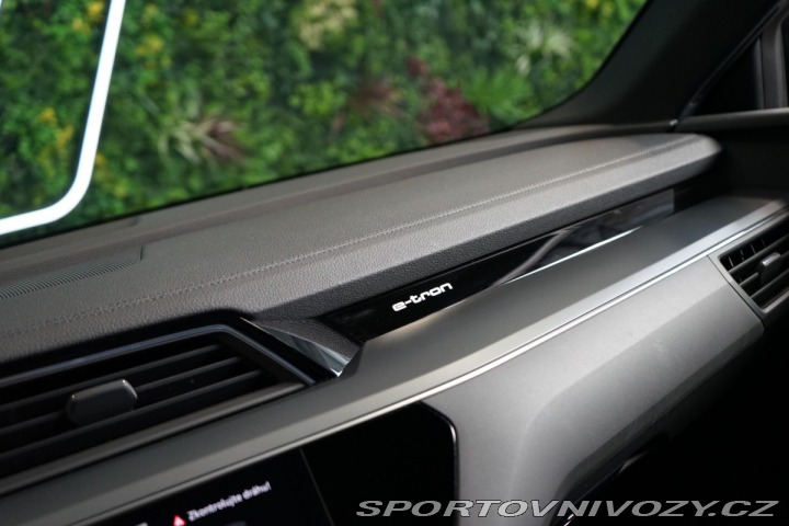 Audi Ostatní modely e-tron 55*QUATTRO*PANO*ZÁRUKA*MA 2020
