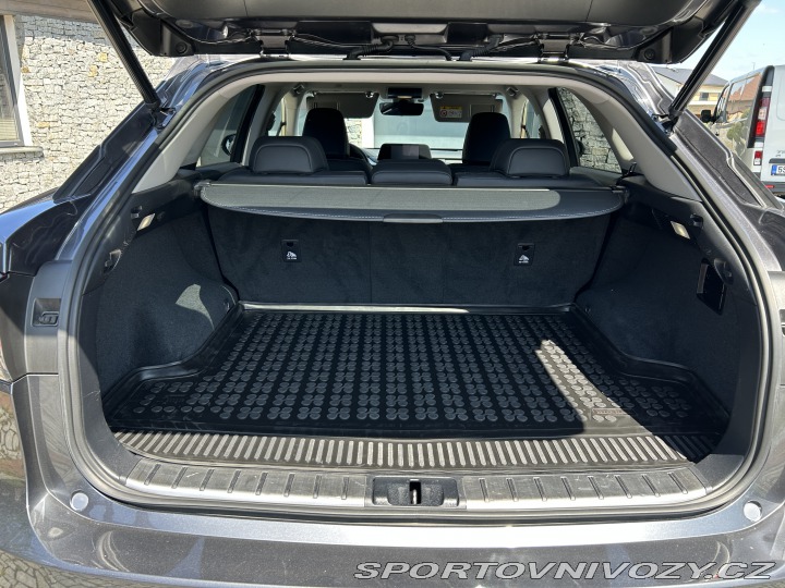Lexus Ostatní modely RX300 2022