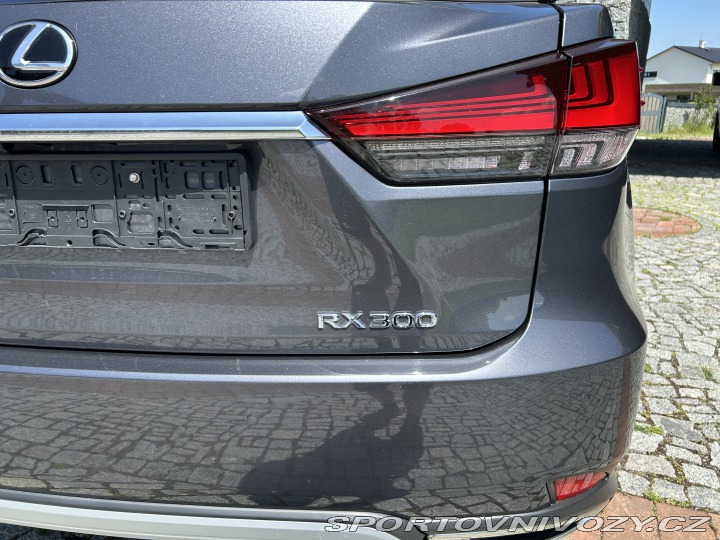 Lexus Ostatní modely RX300 2022