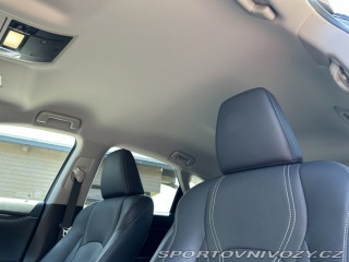 Lexus Ostatní modely RX300 2022