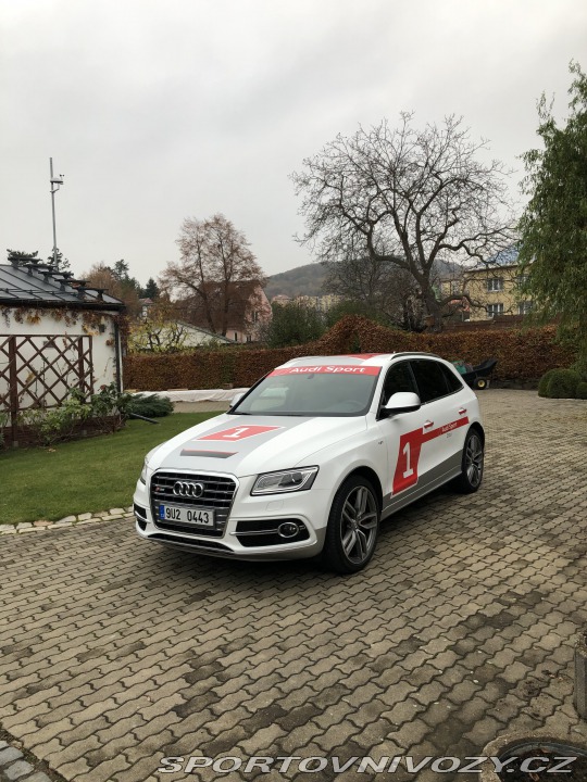 Audi SQ5 2015