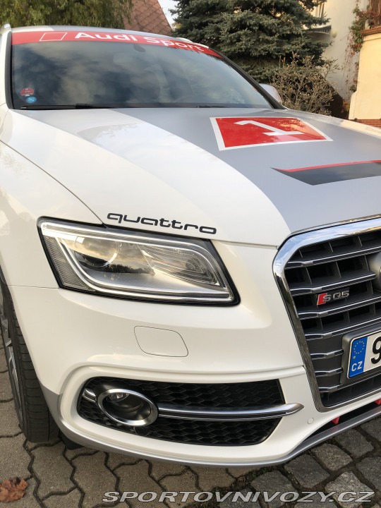 Audi SQ5 2015