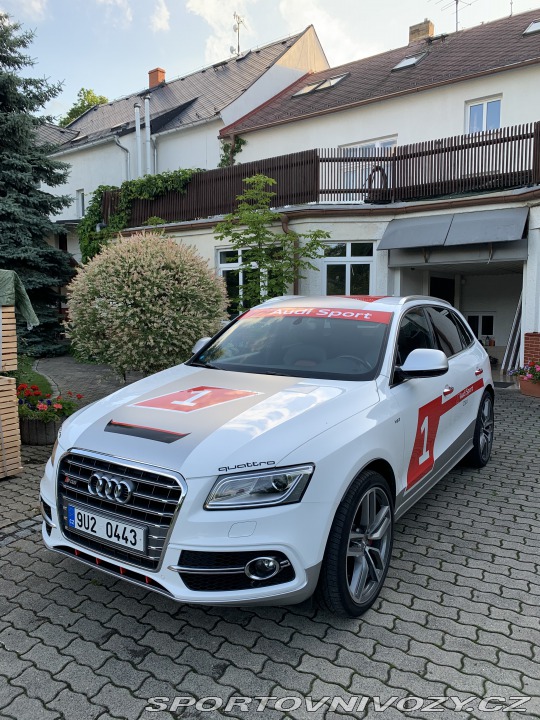 Audi SQ5 2015