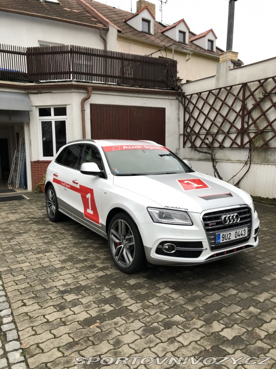 Audi SQ5 2015