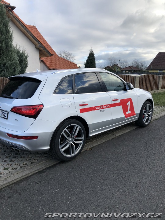 Audi SQ5 2015
