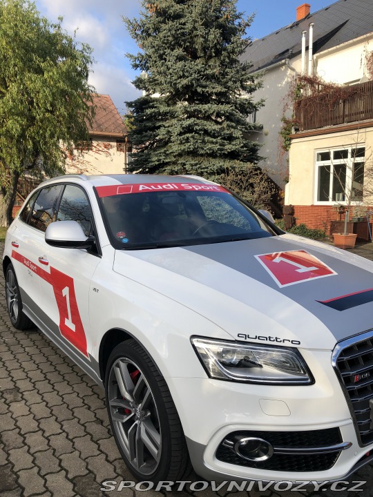 Audi SQ5 2015