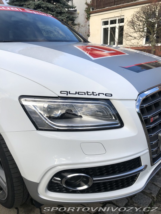 Audi SQ5 2015